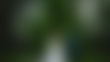 "Make You Feel My Love"| Sanjo and Devon| Twickenham House