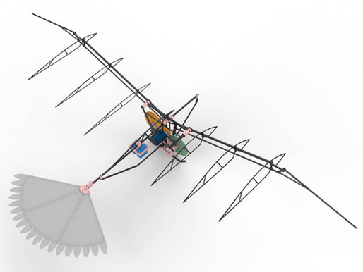 Pesquisa da Unesp se inspira na fauna brasileira para desenvolver nova geração de drones