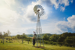 Elkin Creek Vineyard Wedding