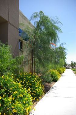 BC Hospital 08