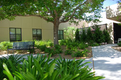 BC Hospital 03