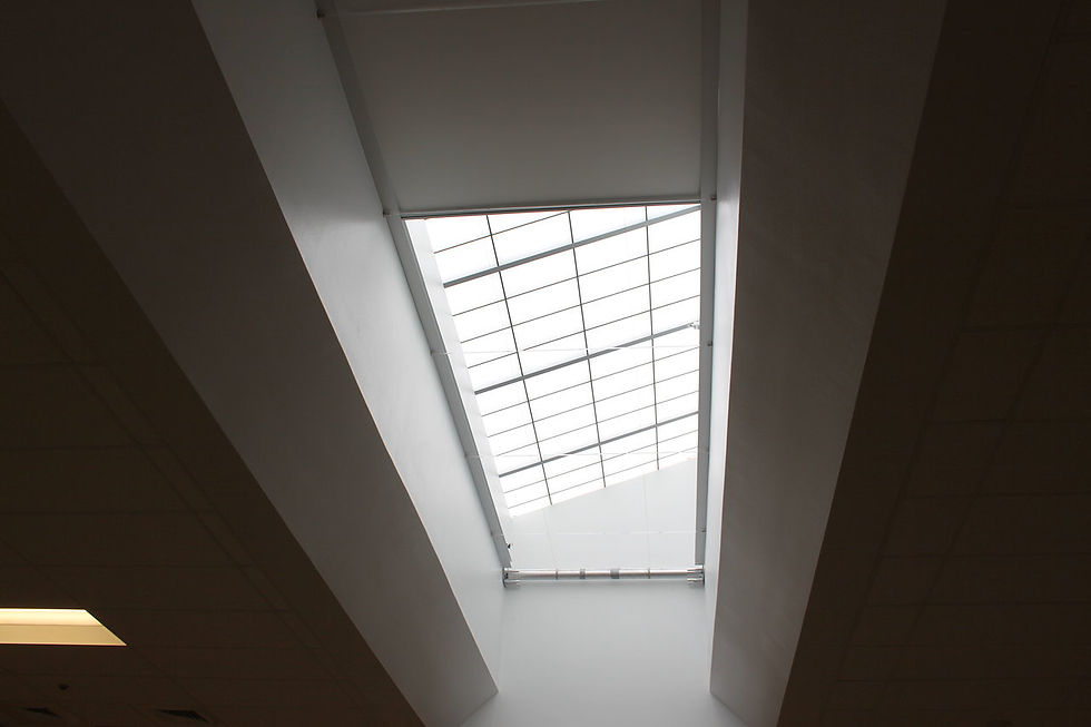 MOTORIZED BLACKOUT SKYLIGHT