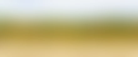 What does the sap flow data tell you?
