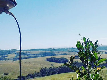 Levantamentos Georreferenciados