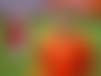 Romano: onderhandelingen over Botman in vergevorderde fase