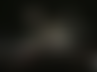 Selectie Milan wordt vanavond 18:00 uur officieel gehuldigd 