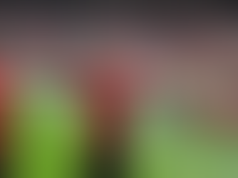 Nerveus Milan doet wat het moet doen en belandt in wachtkamer