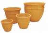 thumb_Jessica_Pot