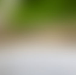 Overcoming Procrastination: Practical Tips for Boosting Productivity!