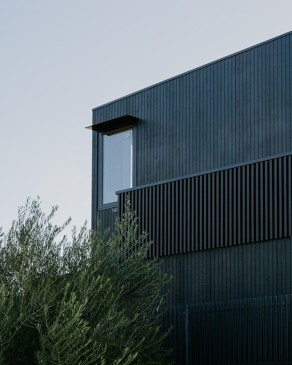 Study_Pickled Goose House_ 244.jpg