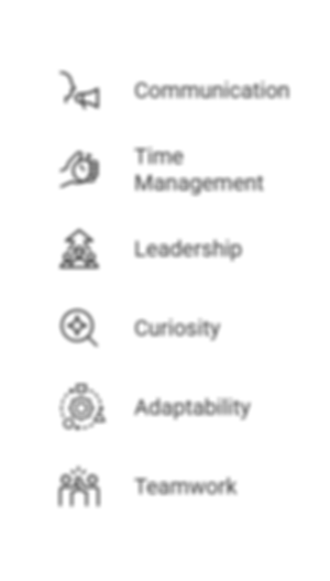 Technical Skills_ - visual selection (3).png