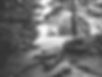 andre-gaulin-gWClfv2Ld50-unsplash_edited_edited.jpg