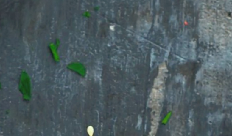 crispy delicious chicken wings with herbs_edited_edited_edited_edited.png