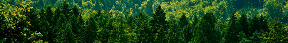 Extendido (NOSOTROS)-01.jpg