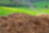 AdobeStock_164467219.jpeg