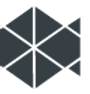 qibuilder_hori_mono_p.png