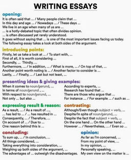 professional creative essay editing websites usa