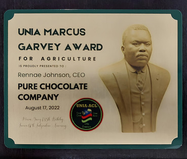 Marcus Garvey Award Edited.jpeg