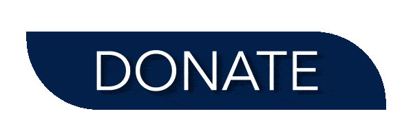 Children First Agency Donate Button