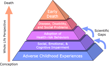 The ACES Pyramid - Infant Parent and Early Childhood Mental Health Services