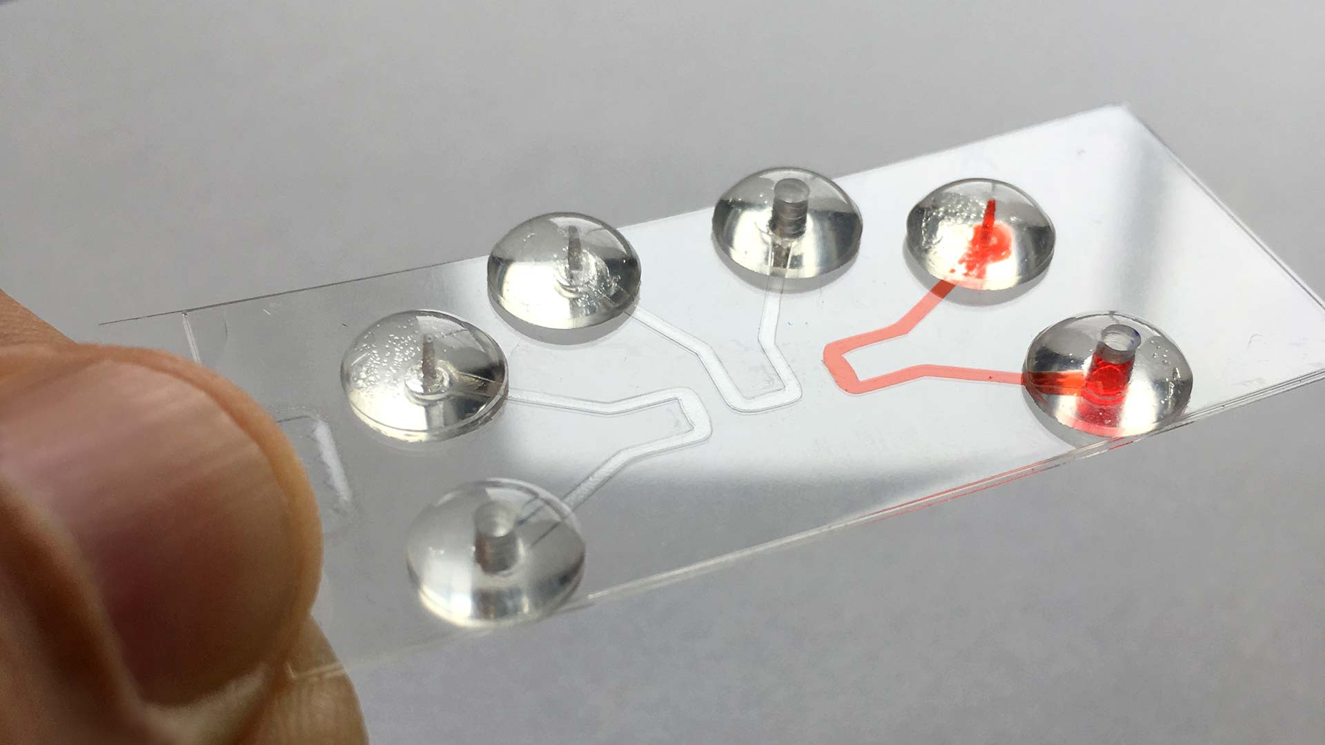 Microfid Microfluidics | Ontiveros Lab | United States