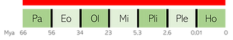 Middle Eocene - Middle Pliocene.png