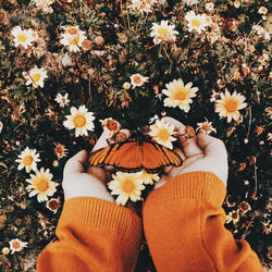 2016-02-29 03.03.20 1