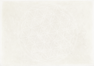 Adobe Blume Leben_82989222_edited_edited_edited.png