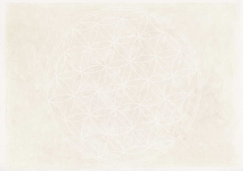 Adobe Blume Leben_82989222_edited_edited_edited.png