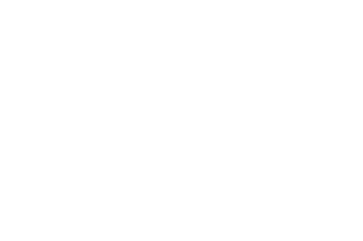 hiff31_officialselection_laurel_white.webp