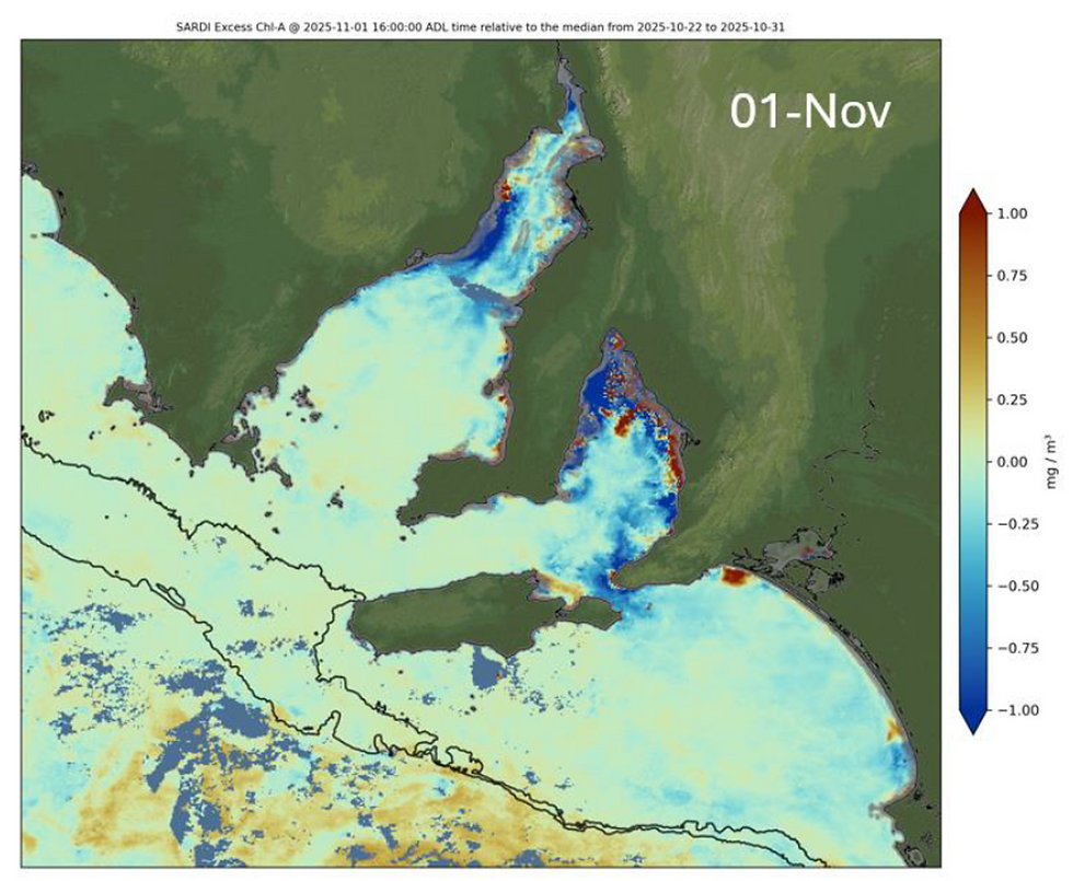 Affected coastline as of the 1st of Nov, 2025