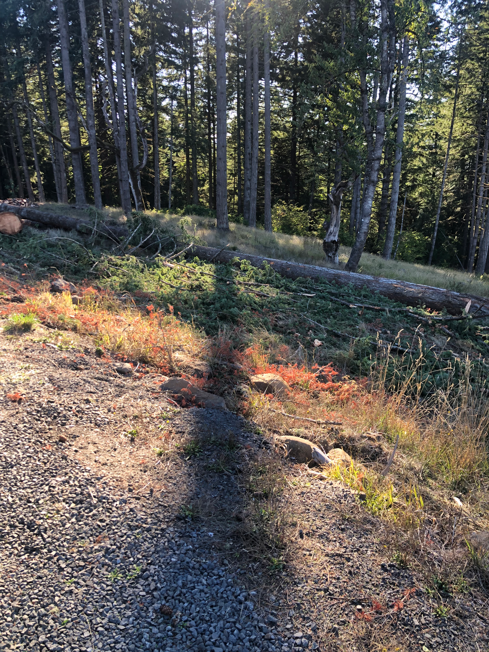 71815498124__DE310005-4F86-45E2-AB4C-DAE8B7B2495C