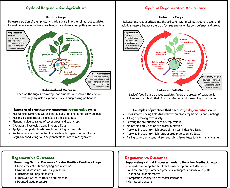 Regenerative Ag Resource (87).png