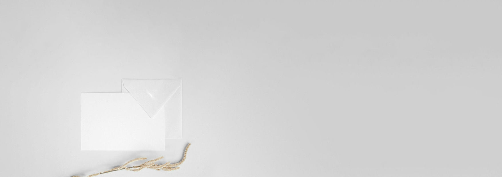 homepage form bg.jpg
