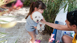 Κοριτσάκι κρατάει το σκυλάκι του