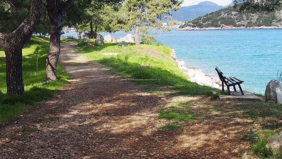 Περίπατος μέσα στα πεύκα & δίπλα στη θάλασσα