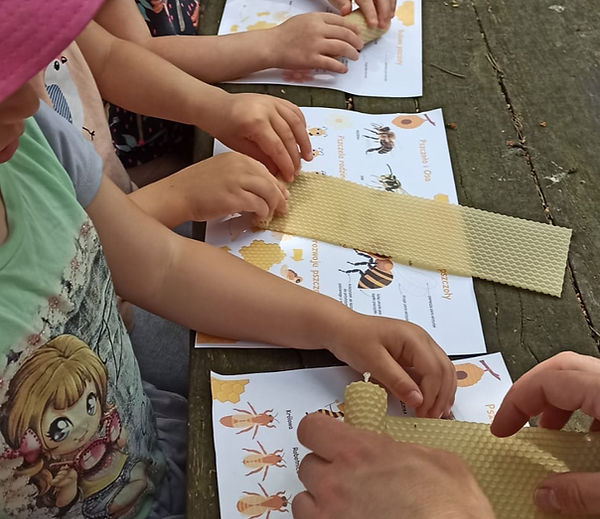 Dzieci wykonują świeczki z wosku podczas warsztatów pszczelarskich