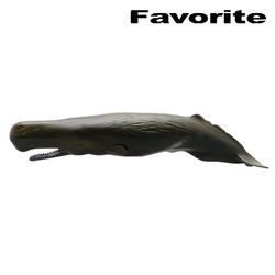 マッコウクジラ