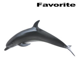 バンドウイルカ