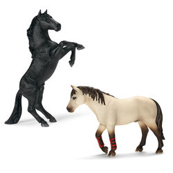 ムスタング・訓練馬