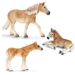 ハフリンガー馬