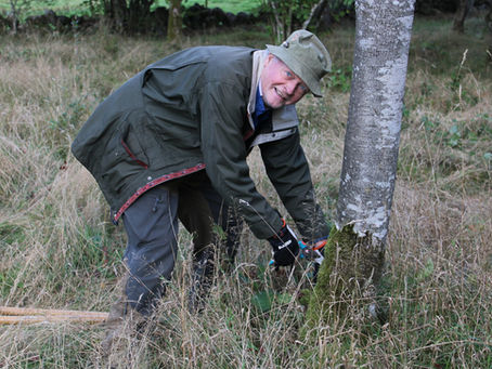 Naturvårdsarbete i Vannaröds ängskrona