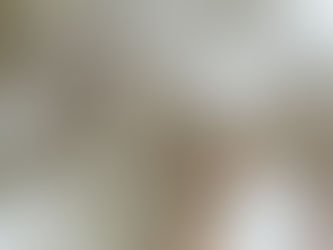 Tomtkryss 2019 - Resultatet