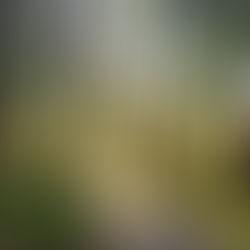 Naturens plats i vår hälsa 24/3