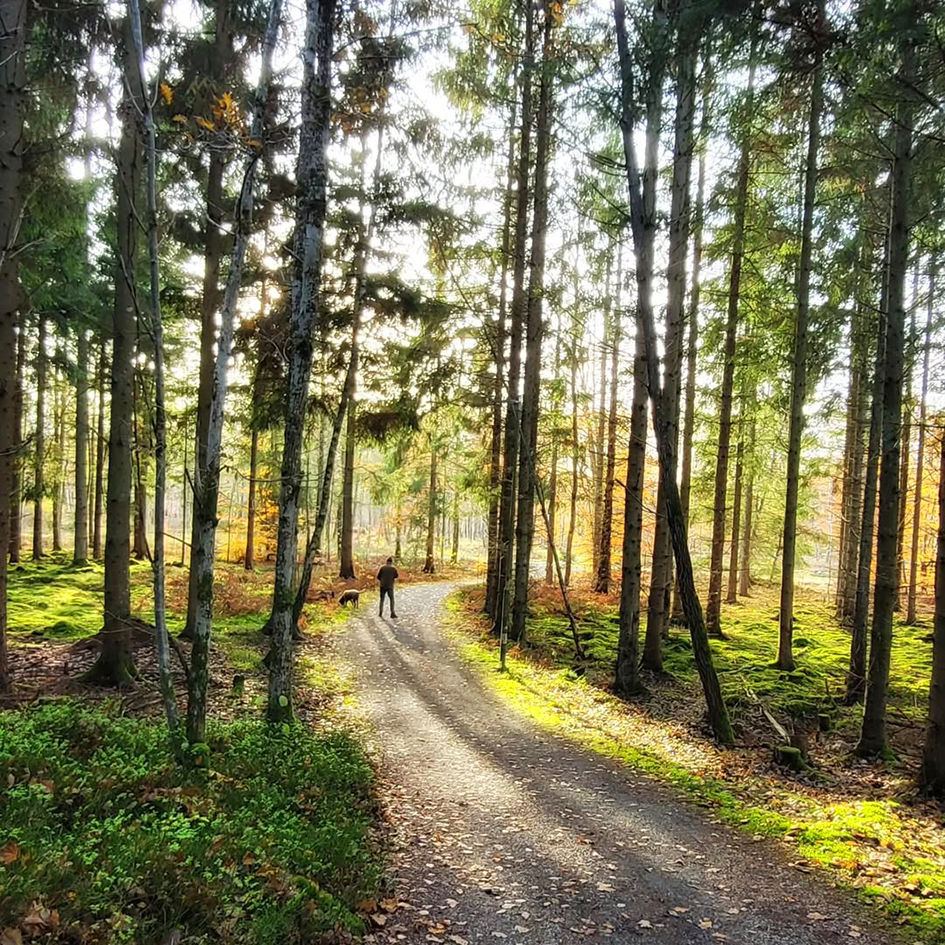 Naturens plats i vår hälsa 24/3