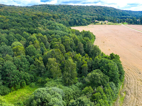 Naturreservat Göingeåsen 14/5