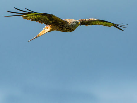Byte på ordförandeposten!