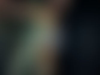 Fladdermöss i våra trakter 22 november