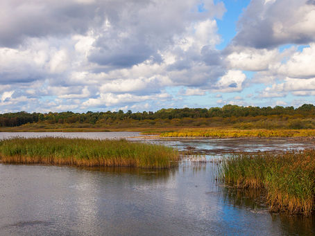 Skådarmorgon "Slingra dig" 9 augusti