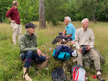 Slåtter Vannaröds ängskrona 29 juli